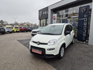 Fiat Panda 4x2 FireFly Hybrid 70 Panda