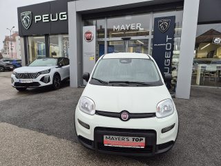 Fiat Panda 4x2 FireFly Hybrid 70 Panda