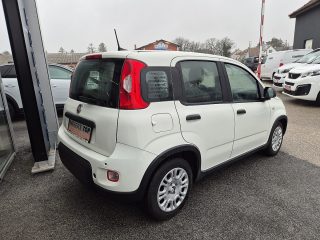Fiat Panda 4x2 FireFly Hybrid 70 Panda